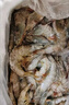 厄瓜多爾白蝦南美進(jìn)口海蝦原裝海捕大蝦40/50 30/40 20/30 14-16cm皇冠40-50 曬單實(shí)拍圖