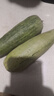 【整箱】羊角蜜甜瓜現摘羊角脆蜜瓜香瓜孕婦新鮮水果整箱批發(fā)價(jià) 5斤優(yōu)質(zhì)款羊角蜜 曬單實(shí)拍圖