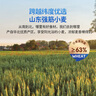 小鹿藍(lán)藍(lán)嬰兒泡芙兒童零食磨牙多造型泡芙球溶豆米餅搭檔 【6月+】星星泡芙-藍(lán)莓味/1罐 曬單實(shí)拍圖