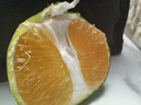 江西尋烏蜜桔新鮮橘子果農直發(fā)應季水果 5斤中果/箱【28-42個(gè)】 曬單實(shí)拍圖