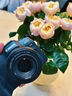 佳能（Canon）r8全畫幅微單相機 6k超采樣vlog視頻高速輕量專微相機 EOS R8數(shù)碼相機 EOS R8單機身 官方標配【不含配件 推薦加購套餐配置】 曬單實拍圖