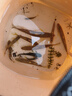 simago喜曼多魚(yú)竿輕量化28調性高碳超輕超硬超細戶(hù)外野釣臺釣鯽魚(yú)鯉魚(yú)竿 3m 小綜合竿4H28調+釣魚(yú)禮包 曬單實(shí)拍圖