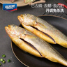 海名威 冷凍三去黃花魚750g/2條 寧德大黃魚 生鮮魚類 海鮮水產(chǎn)  曬單實(shí)拍圖
