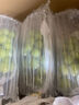 四川大涼山陽光玫瑰葡萄 新鮮水果整箱青提 團(tuán)購(gòu)彩箱送禮 5斤彩箱（凈果4斤）整串大果 源頭直采 JD/順豐送貨上門 曬單實(shí)拍圖