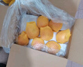 佳農(nóng) 煙臺(tái)紅富士蘋果 凈重10斤大果 果徑85mm+ 禮盒裝 生鮮水果 曬單實(shí)拍圖