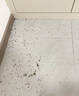 藤久制藥日本原藥呋蟲(chóng)胺蟑螂跳蚤藥床上虱子殺蟲(chóng)劑家用貓狗家庭驅蟲(chóng)500ml 曬單實(shí)拍圖