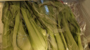 【嫩芽尖尖】油菜苗（長(zhǎng)度≤17cm）400g 曬單實(shí)拍圖
