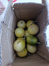 廣西 黃金百香果欽蜜9號(hào)現(xiàn)摘新鮮水果白香果 小果實(shí)惠 5粒【小果-單果30-45g】 曬單實(shí)拍圖