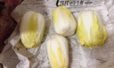 【有機】娃娃菜 精選新鮮黃心娃娃菜 火鍋配菜時(shí)令生鮮蔬菜 400g*6份【百搭嘗鮮】 曬單實(shí)拍圖