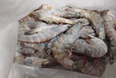 東上御品 國產(chǎn)青島大蝦 特大號白蝦 2030規格 凈重3斤 盒裝活凍 曬單實(shí)拍圖