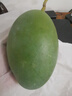 庾豐 當(dāng)季現(xiàn)摘芒果 新鮮水果整箱 熱帶青皮芒 當(dāng)季孕婦 生鮮 團(tuán)購(gòu)送禮 5斤裝（凈果4.5斤）優(yōu)選果 曬單實(shí)拍圖