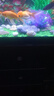 松寶魚(yú)缸水族箱客廳家用落地玻璃大中小型金魚(yú)缸懶人生態(tài)免換水帶柜子 120CM魚(yú)缸(含顯示屏)+造景+木柜 曬單實(shí)拍圖