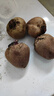 密園小農云南【有機】甜菜根現挖紅菜頭紫甜菜榨汁沙拉食材新鮮蔬菜整箱 云南【有機】紅甜菜2.5KG裝/箱 曬單實(shí)拍圖