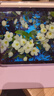 Apple/蘋果 iPad mini (A17 Pro) 8.3英寸 平板電腦(128G WLAN版/mini7/MXN93CH/A)紫色 曬單實拍圖