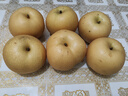 京鮮生山東煙臺萊陽秋月梨凈重4斤單果250g+ 新鮮水果 源頭直發(fā)包郵 曬單實拍圖
