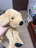 宜家（IKEA）GOSIGGOLDEN古西格格登玩偶公仔寵物狗抱枕睡覺(jué)毛絨玩具 狗/金毛尋回犬40cm 曬單實(shí)拍圖