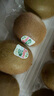 佳沛（zespri）綠奇異果經(jīng)典果16粒禮盒單果約86-103g 水果 獼猴桃 曬單實(shí)拍圖