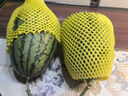 【產(chǎn)地直采】正宗北京龐各莊頭茬吊秧小西瓜1粒2kg 曬單實(shí)拍圖