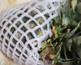 海南金鉆鳳梨 新鮮水果手撕鳳梨孕婦水果 果園直發(fā)整箱包郵非菠蘿 2粒裝鳳梨 單果500g起 曬單實(shí)拍圖