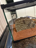REPTIZOO 爬寵躲避屋曬臺造景用品守宮巖石蛇烏龜躲避窩洞蜥蜴躲藏 尖銳面躲避中號M 曬單實(shí)拍圖