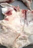卓宸 澳洲Coles谷飼牛窩骨凈重4斤 牛膝蓋骨燉煮【真原切】 源頭直發(fā) 曬單實拍圖