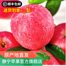 靜寧蘋(píng)果 【順豐到家】甘肅紅富士蘋(píng)果水果 新鮮應季靜寧蘋(píng)果 凈重4斤70-75mm小果約12枚 曬單實(shí)拍圖
