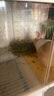 喜帥烘干紫花苜蓿草 幼兔兔糧牧草干草龍貓荷蘭豬磨牙飼料毛重1kg 曬單實(shí)拍圖