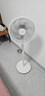 美的（Midea）電風(fēng)扇 家用七葉立式落地扇宿舍臥室輕音節(jié)能搖頭桌面小風(fēng)扇大風(fēng)力空氣循環(huán)風(fēng)扇 SAF30AC  曬單實(shí)拍圖