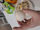 三全蔥香手抓餅900g10片裝 兒童早餐半成品食品方便速食早點(diǎn) 曬單實(shí)拍圖
