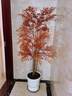 OEMG中古風(fēng)仿真綠植南天竹紅色高端輕奢室內電視柜旁裝飾落地擺件盆栽 中古田園風(fēng)1.2米紅葉南天竹《原廠(chǎng)塑料盆》 曬單實(shí)拍圖
