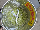 大海邊 碎菜機碎草機喂雞鴨鵝豬養(yǎng)殖家用多功能電動瓜果蔬菜切菜打菜機 304不銹鋼【2400W】+4個備用刀片 曬單實拍圖