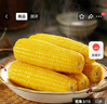 京鮮生 東北黃糯玉米260g*10棒 新鮮甜糯玉米棒真空包裝粘玉米 源頭直發(fā) 曬單實(shí)拍圖