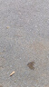 國際電工 無(wú)線(xiàn)遙控開(kāi)關(guān) 二路三路大面板免布線(xiàn)智能控制器隨意貼開(kāi)關(guān)可穿墻 接收器1個(gè)+一開(kāi)隨意貼1個(gè)-灰 曬單實(shí)拍圖
