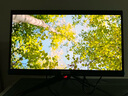 華碩ROG PG27UCDM超神26.5英寸OLED顯示器4K 240Hz顯示器電競G-sync Type-C杜比視界HDR400 DP2.1 曬單實拍圖