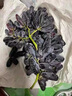 甜蜜藍寶石葡萄新鮮水果整串美人指金手指無(wú)籽黑提子順豐 4斤 曬單實(shí)拍圖