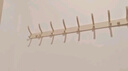 虎先森奶油風(fēng)白色排鉤壁掛免打孔門(mén)后玄關(guān)墻上收納掛衣架掛衣帽鉤 曬單實(shí)拍圖