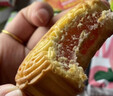 滇購農科院100枚廣式水果味小月餅蛋黃蓮蓉豆沙迷你多口味中秋小月餅 15口味【多種口味】 【30枚】推薦 曬單實(shí)拍圖