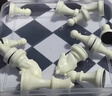 得力(deli) 磁石國際象棋學(xué)生桌游厚實便攜式折疊棋盤益智桌游 曬單實拍圖