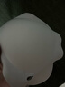 朵朵棉新款內衣女茉莉花香10A級抑菌小胸聚攏無(wú)鋼圈文胸 豆蔻紫 L碼 曬單實(shí)拍圖