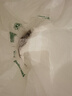 uwant友望大白u(yù)ltra除螨儀【熱銷TOP1】65℃高溫殺菌除螨 床上吸塵器 吸塵除螨一體機(jī)雙杯塵螨分離寵物 曬單實(shí)拍圖