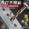 高博仕含鈷合金鎢鋼麻花鉆頭不銹鋼專(zhuān)用直柄電鉆打孔開(kāi)擴孔鋼板鐵鋁套裝 【工業(yè)級含鈷】4.2mm*10支盒裝 曬單實(shí)拍圖