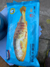 海名威 冷凍黃花魚(yú)700g/2條 寧德大黃魚(yú)地標 海鮮水產(chǎn) 生鮮魚(yú)類(lèi) 中秋 曬單實(shí)拍圖