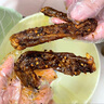 鄉巴佬風(fēng)味老鹵鴨翅鹵味醬香香辣開(kāi)袋即食鴨肉充饑零食散裝新鮮 老鹵鴨翅30g/包【2包】 曬單實(shí)拍圖