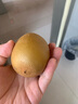 佳沛（zespri）新西蘭  陽光金奇異果10粒禮盒巨大果單果約144-175g 水果 獼猴桃 曬單實拍圖