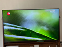 東芝電視小芝士Z600QF PRO 音畫雙芯MiniLED 火箭炮SOUND 300Hz 4K超清 以舊換新 家電國家補貼 75英寸 75Z600QF PRO 曬單實拍圖