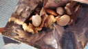良品鋪?zhàn)?7款純堅(jiān)果750g 每日?qǐng)?jiān)果干果禮盒核桃囤貨零食30包送禮團(tuán)購(gòu) 曬單實(shí)拍圖