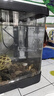 魚(yú)缸喂食器魚(yú)食龜糧自動(dòng)投喂小型孔雀魚(yú)小魚(yú)喂食管漂浮圈防飄散 魚(yú)糧不飄散 【1個(gè)裝】 贈(zèng) 防脫落吸盤(pán) 曬單實(shí)拍圖