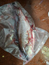 淡水鱸魚(yú)新鮮冷凍鮮活海鮮水產(chǎn)清蒸鱸魚(yú)超大3條淡水鱸魚(yú)現殺真空 鱸魚(yú)凈重2斤3-4條 曬單實(shí)拍圖