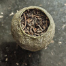中茶普洱茶小青柑云南普洱正宗新會(huì)小青柑普洱熟茶柑普茶葉500g木桶裝 曬單實(shí)拍圖
