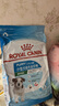 皇家狗糧幼犬狗糧幼犬奶糕寵物小型犬MIJ31全價犬糧2-10月8KG 曬單實拍圖